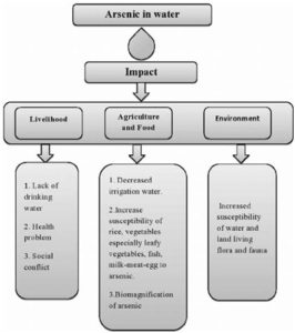 Arsenic Contamination In Groundwater India - Vardhman Envirotech