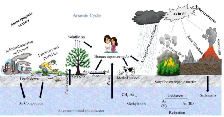 Arsenic Contamination in Groundwater India - Vardhman Envirotech