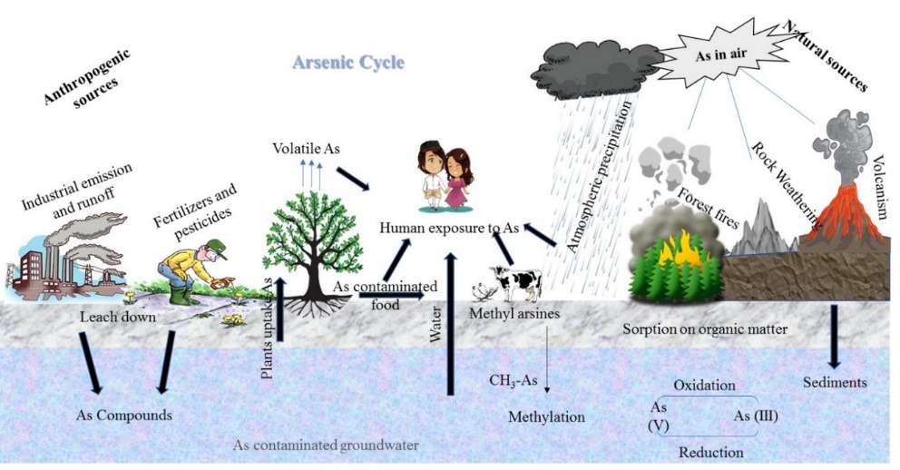 arsenic-contamination-in-groundwater-india-vardhman-envirotech