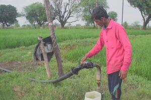 The fields of Pipariya are irrigated with groundwater even in monsoon. Experts say that due to chemical farming, water consumption is high. Photo by Manish Chandra Mishra/Mongabay.