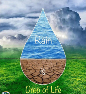 Rain - Drop of Water